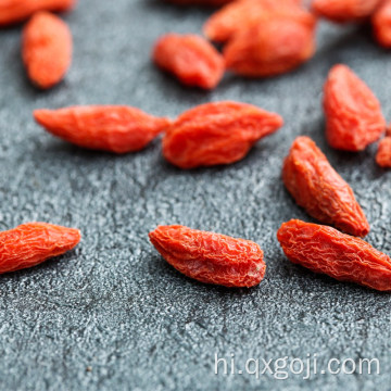 पोषण के साथ कार्बनिक goji बेरी फल wolfberry फल